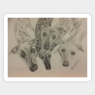 Whippets Sticker